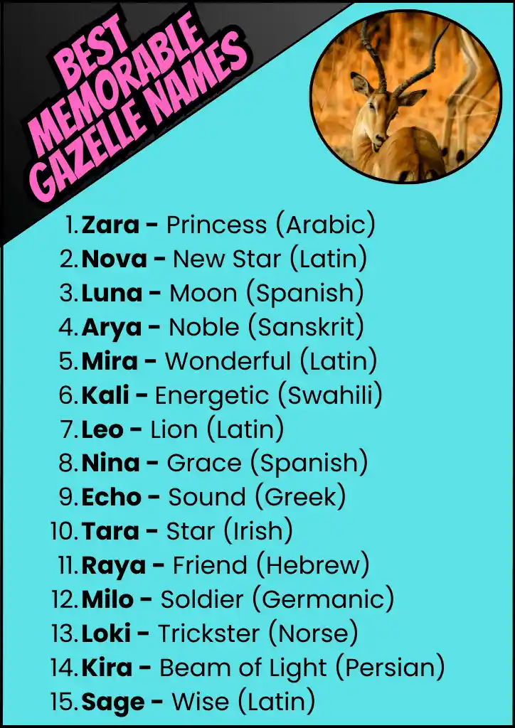 a list of best memorable gazelle names