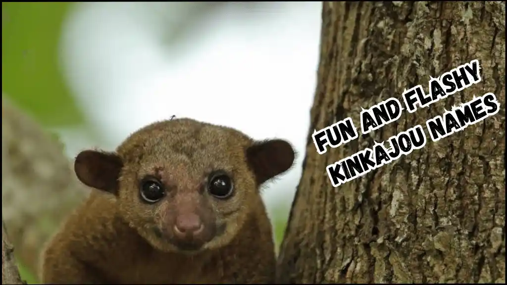 A kinkajou is sitting in a relaxing mood on the tree