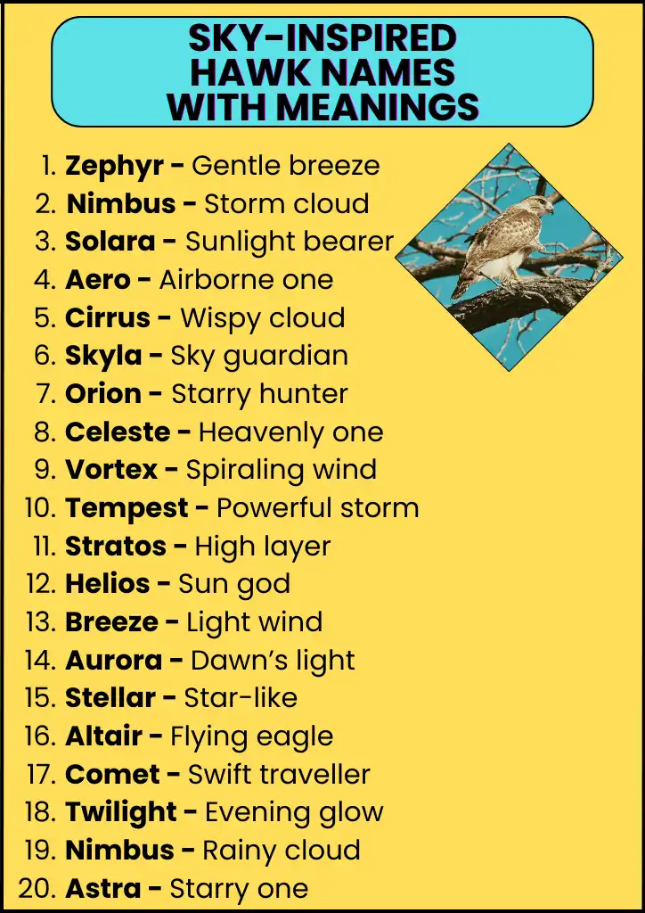 A list of sky-inspired hawk names infographic