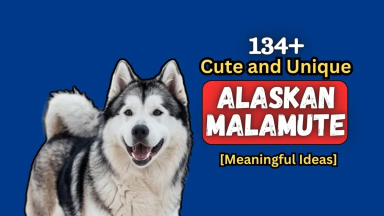 134 Cute and Unique Alaskan Malamute Names [Meaningful Ideas]