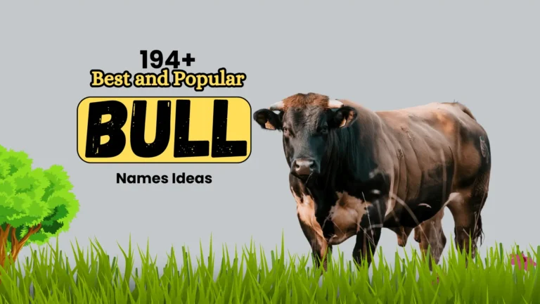 194+ Best and Popular Bull Names Ideas