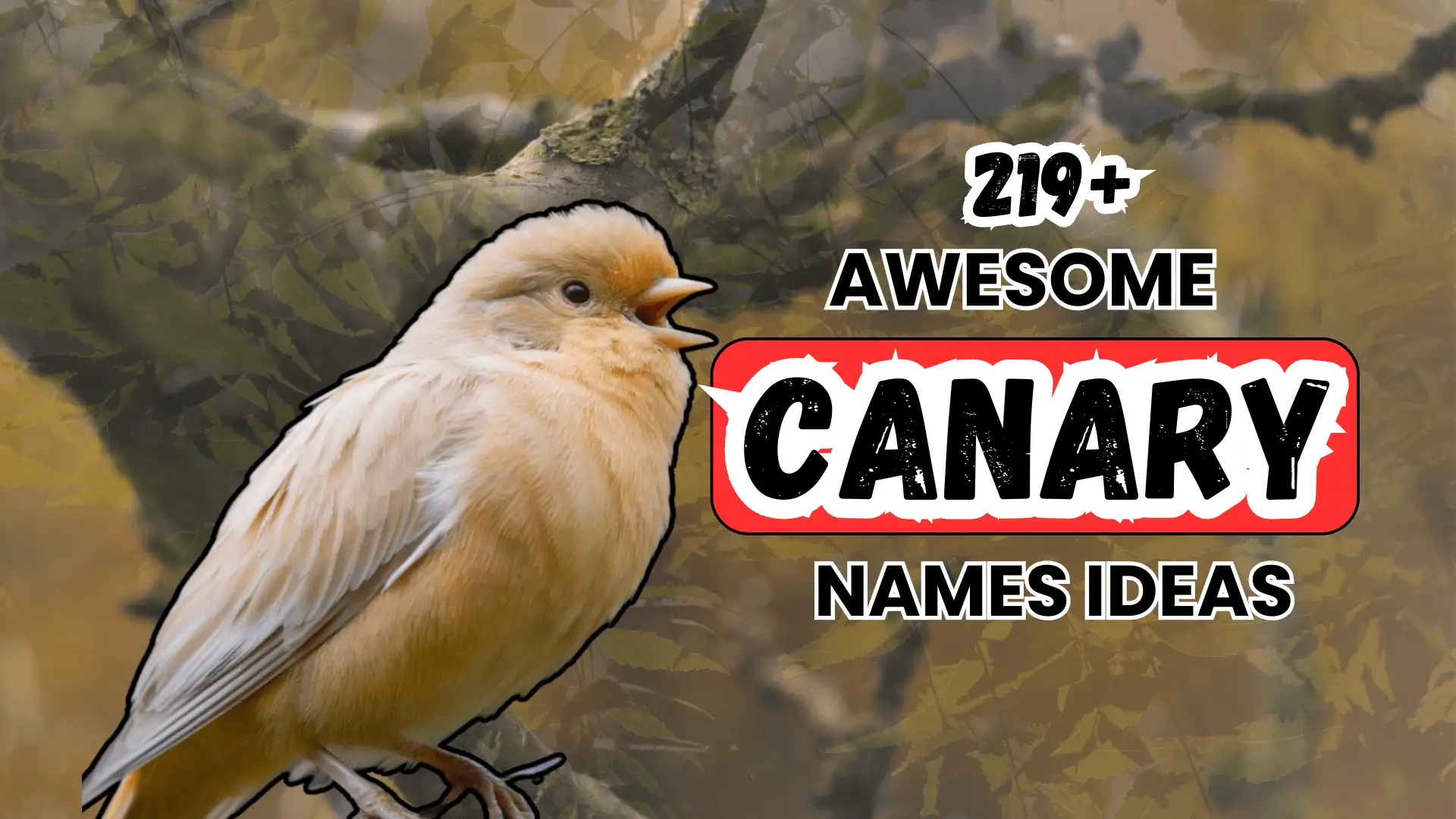 219+ Awesome Canary Names Ideas