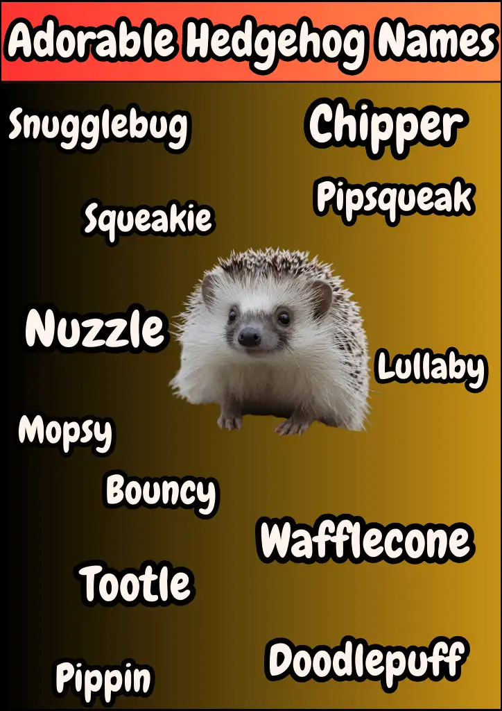 A List of Adorable Hedgehog Names Infographic