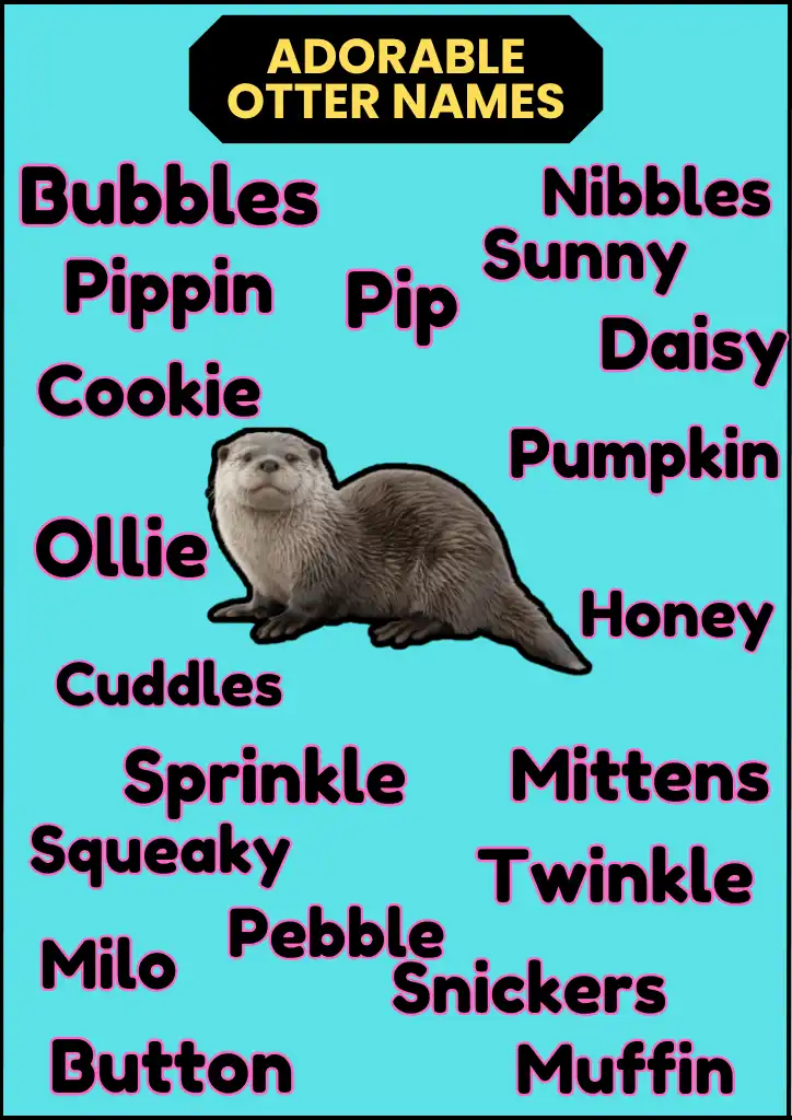 adorable Otter names infographic