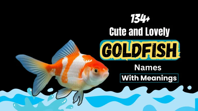 cute and lovely Goldfish Names with Meanings