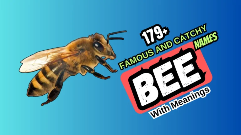 famous and catchy bee names with meanings