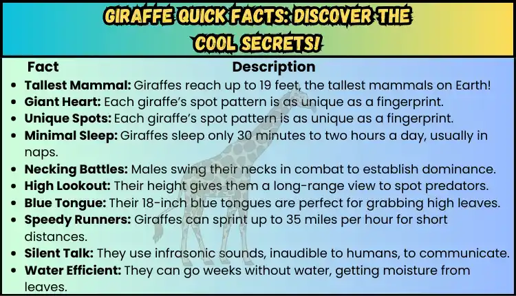 quick factual information about giraffe