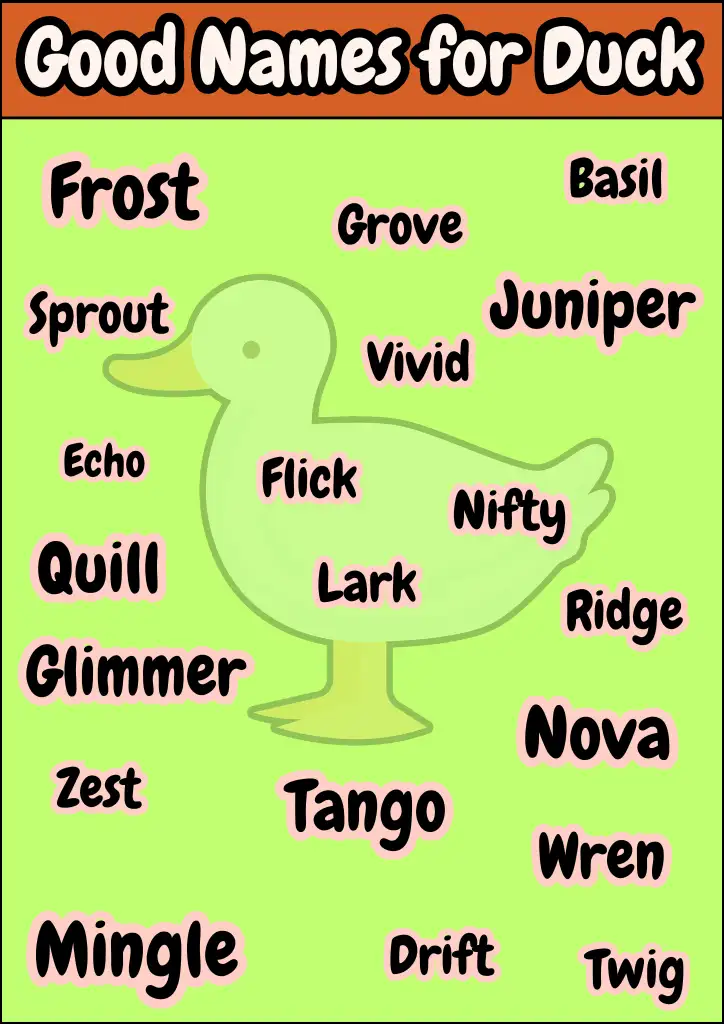 159+ Cute Duck Names With Meanings [Best Ideas] - Namesbranch.com