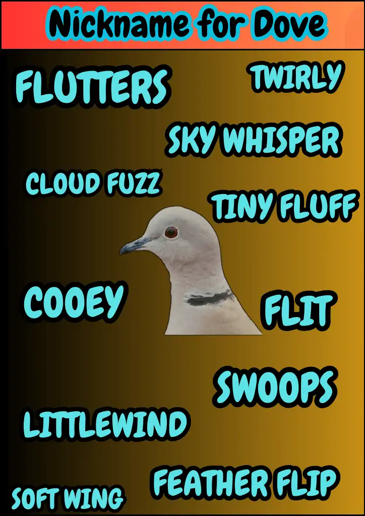 A list of Nickname for Dove Infographic