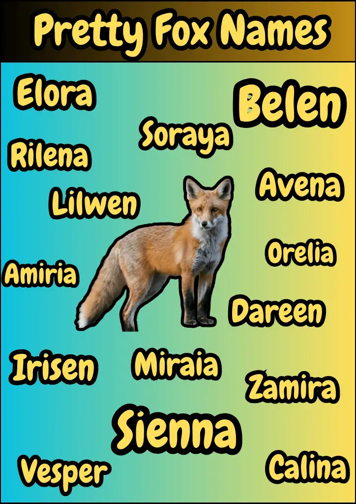 149+ Intelligent And Creative Fox Names With Meanings - Namesbranch.com