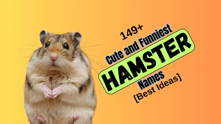 149+ Cute and Funniest Hamster Names [Best Ideas]