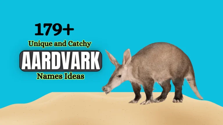 179+ Unique and Catchy Aardvark Names Ideas