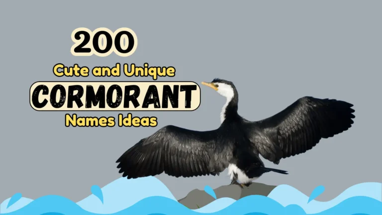 200 Cute and Unique Cormorant Names Ideas