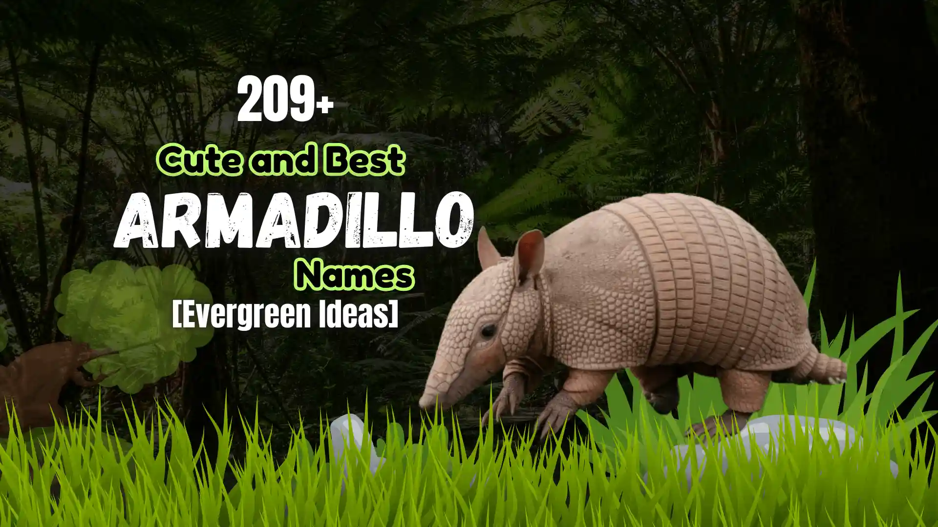 209+ Cute and Best Armadillo Names [Evergreen Ideas]