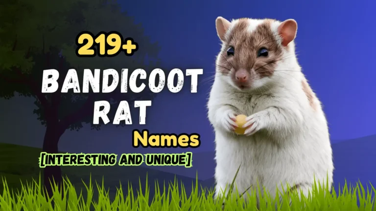 219+ Bandicoot Rat Names [Interesting and Unique]