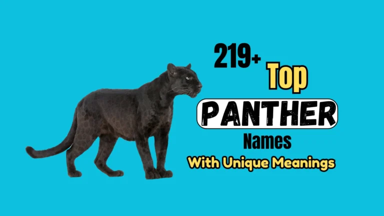 219+ Top Panther Names with Unique Meanings