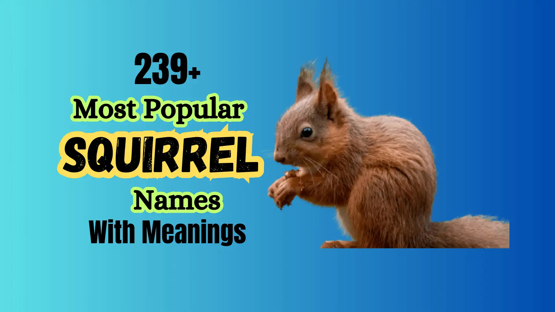 239+ Most Popular Squirrel Names With Meanings - Namesbranch.com