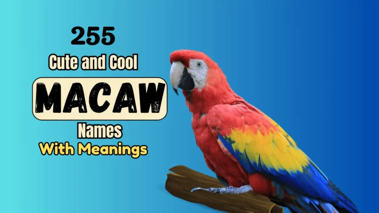 255 Cute and Cool Macaw Names with Meanings