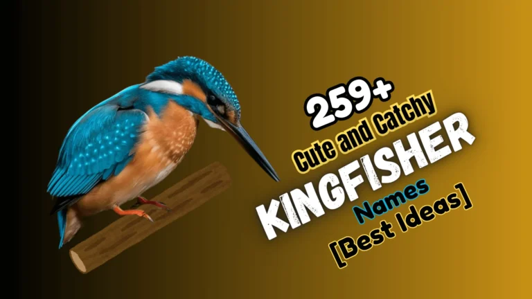 259+ Cute and Catchy Kingfisher Names [Best Ideas]