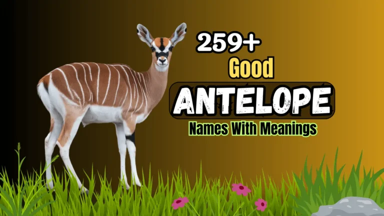 259+ Good Antelope Names with Meanings