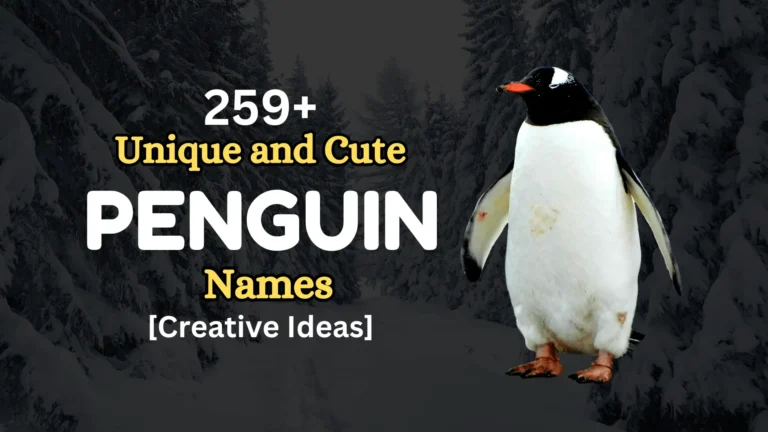 259+ Unique and Cute Penguin Names [Creative Ideas]