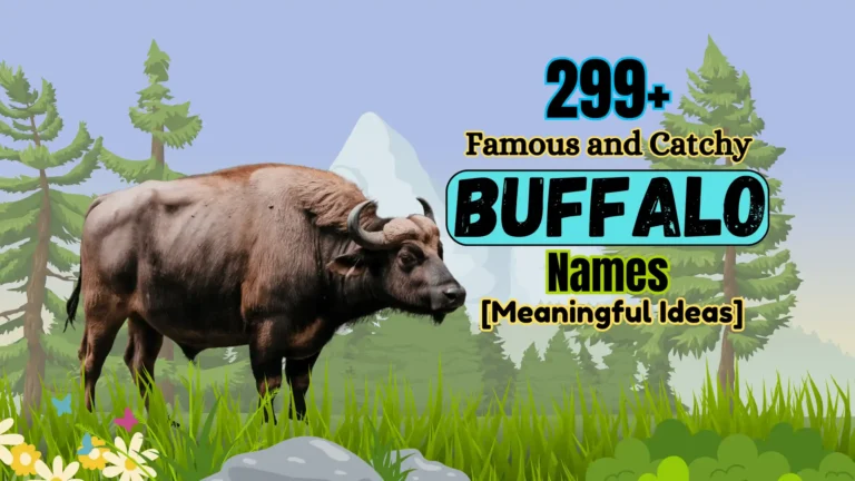 299+ Famous and Catchy Buffalo Names [Meaningful Ideas]