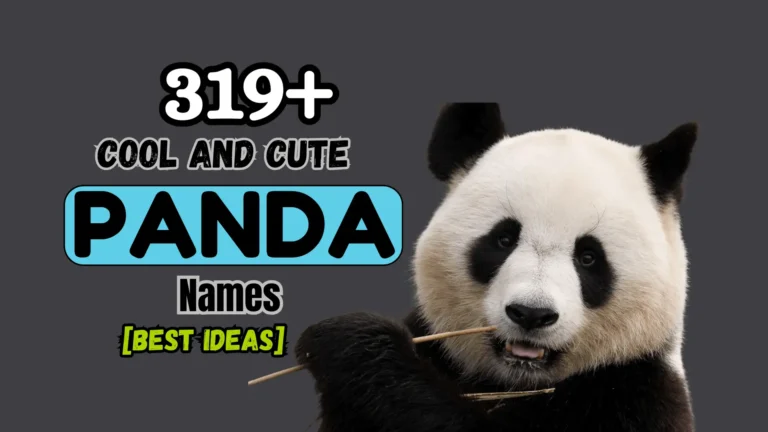 319+ Cool and Cute Panda Names [Best Ideas]