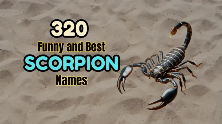 320 Funny and Best Scorpion Names