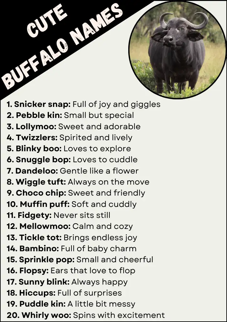 Cute Buffalo Names Infographic