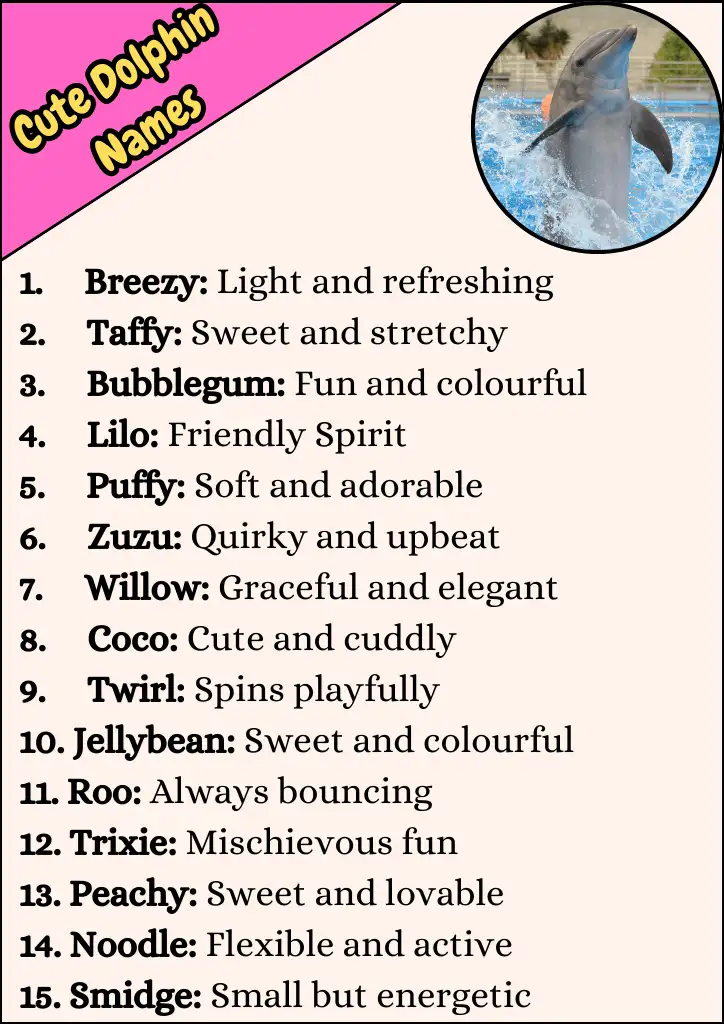 Cute Dolphin Names Infographic