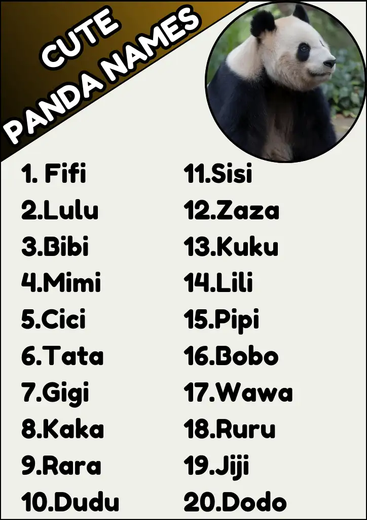 319+ Cool And Cute Panda Names [Best Ideas] - Namesbranch.com