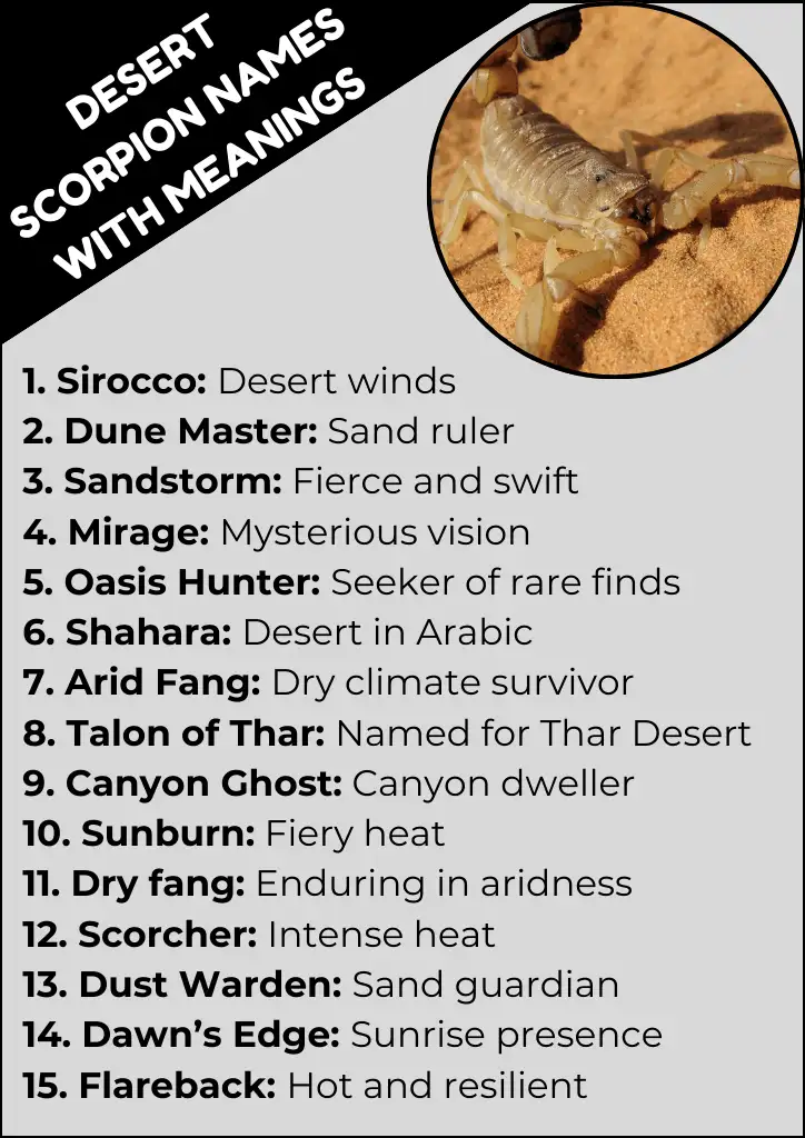 Desert Scorpion Names with Meanings Infographic