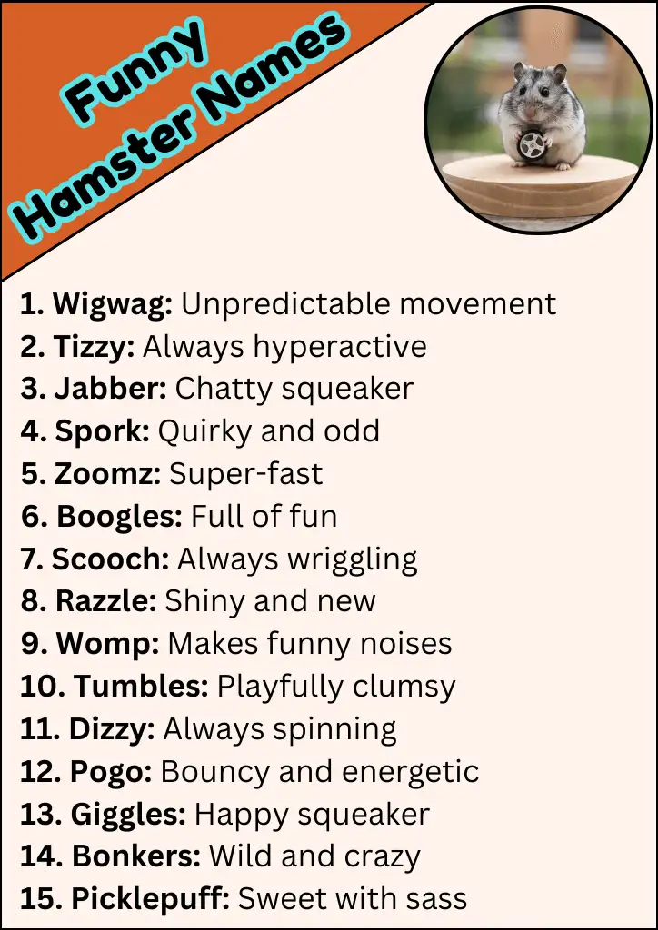 Funny Hamster Names Infographic