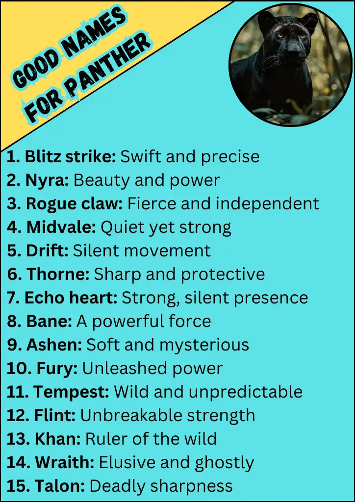 Good Names for Panther Infographic