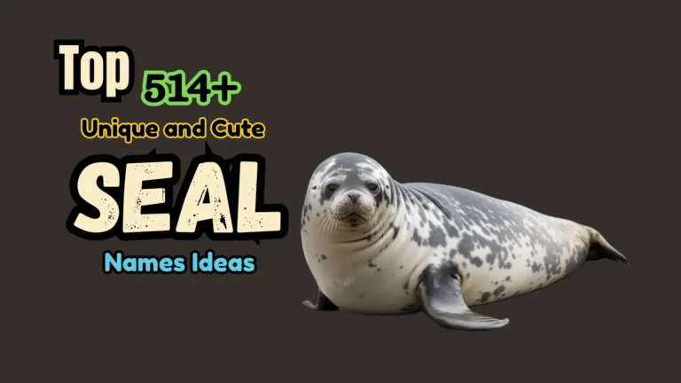 Top 514+ Unique and Cute Seal Names Ideas