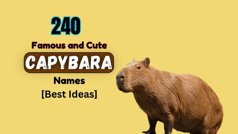 240 Famous and Cute Capybara Names [Best Ideas]