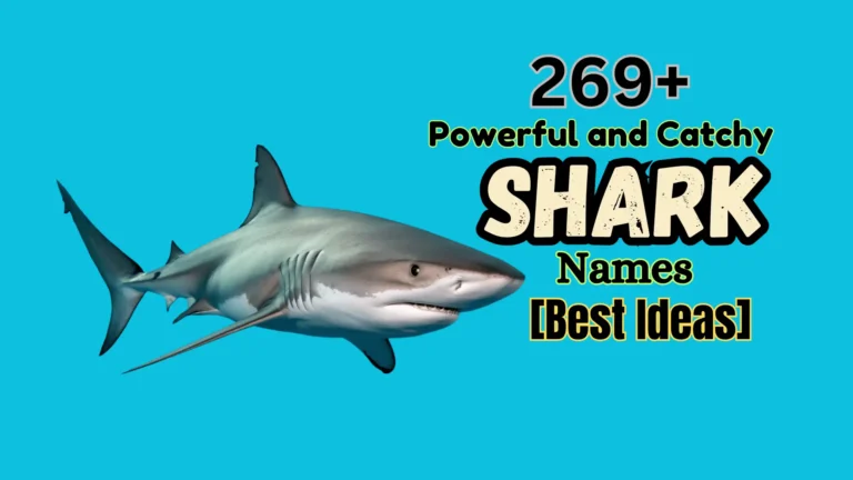 269+ Powerful and Catchy Shark Names [Best Ideas]