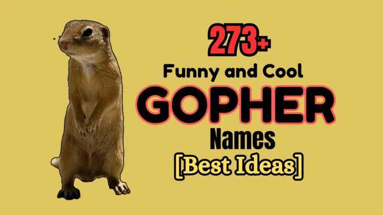 273+ Funny and Cool Gopher Names [Best Ideas]