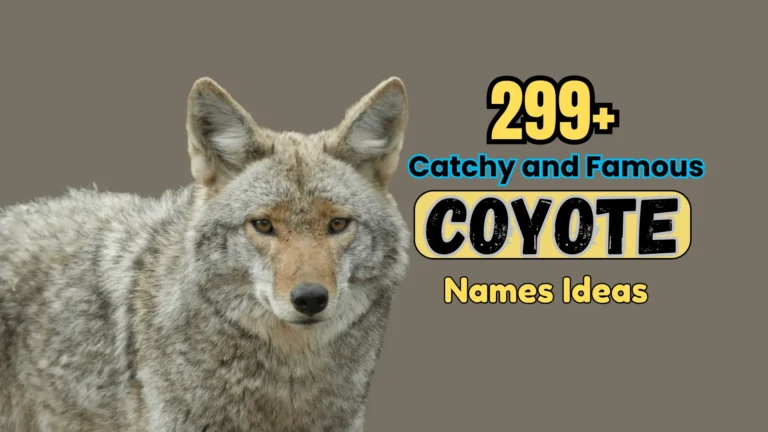 299+ Catchy and Famous Coyote Names Ideas