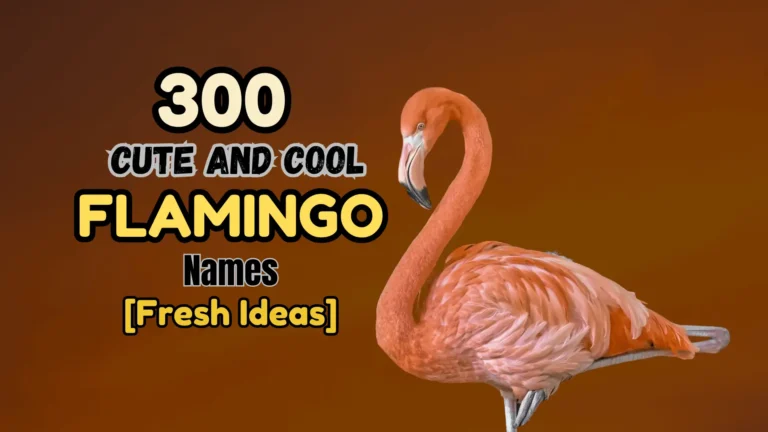 300 Cute and Cool Flamingo Names [Fresh Ideas]