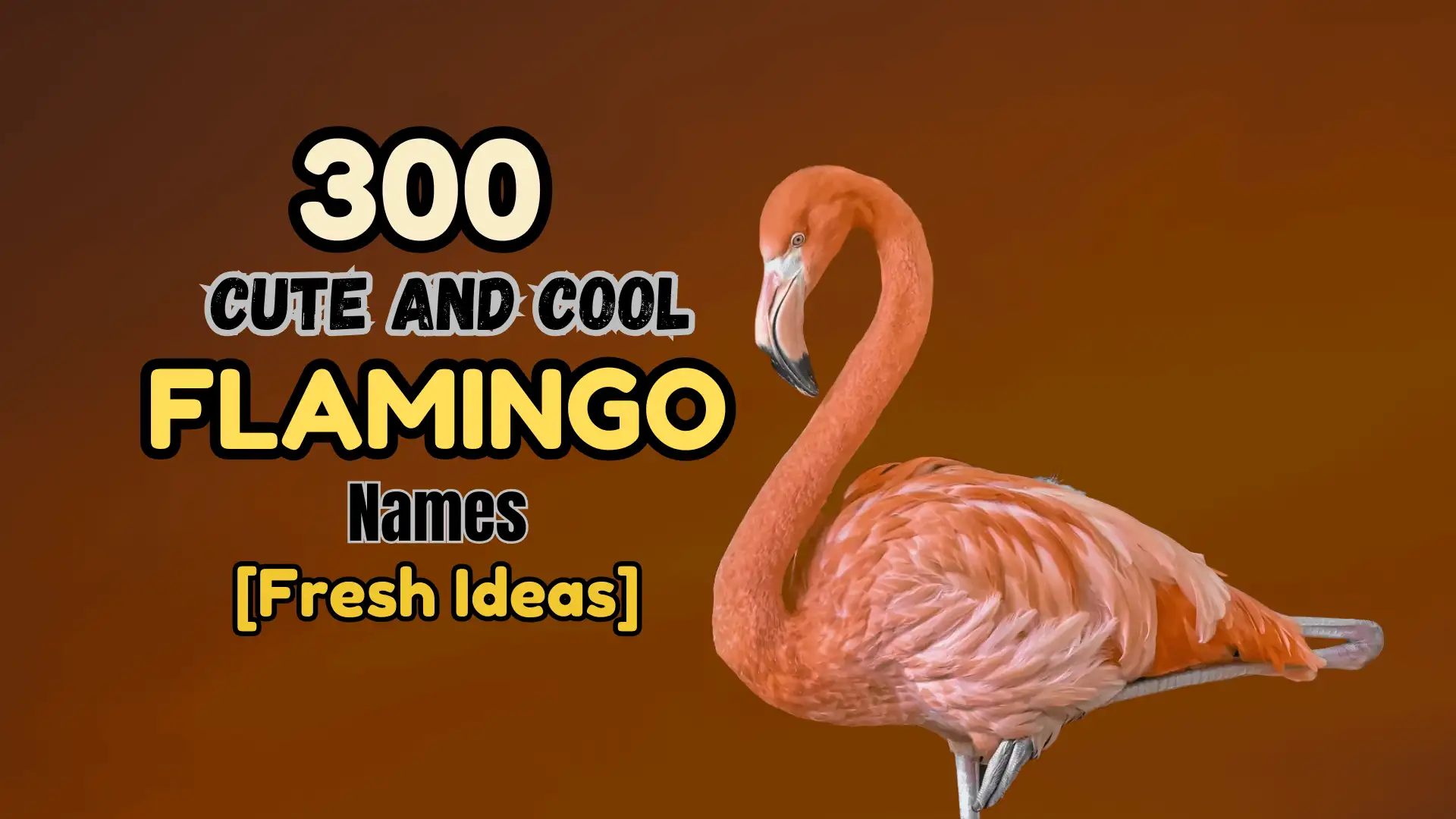 300 Cute and Cool Flamingo Names [Fresh Ideas]