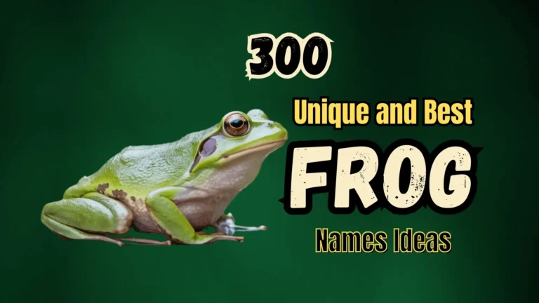 300 Unique and Best Frog Names Ideas