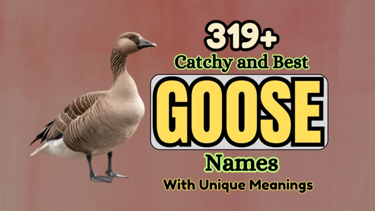 319+ Catchy and Best Goose Names with Unique Meanings