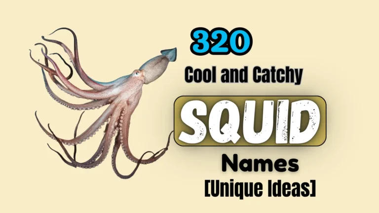 320 Cool and Catchy Squid Names [Unique Ideas]