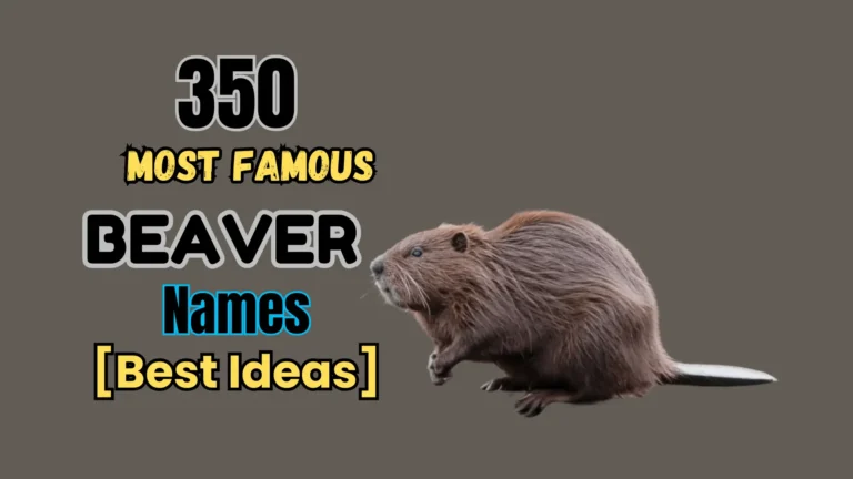 350 Most Famous Beaver Names [Best Ideas]