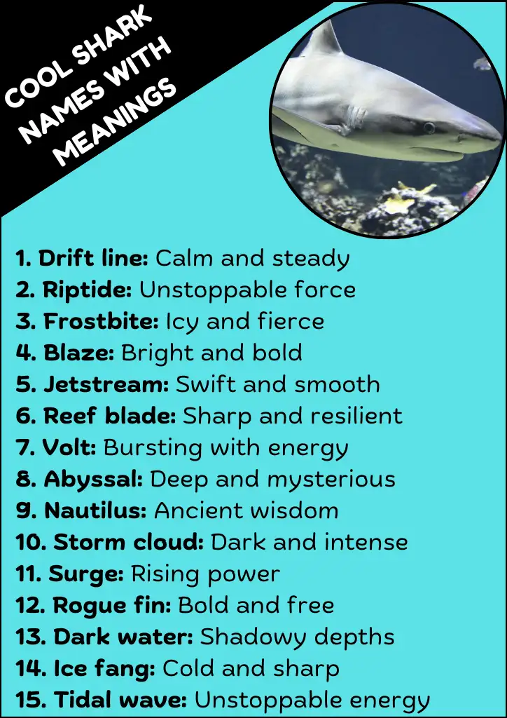 Cool Shark Names with Meanings Infographic