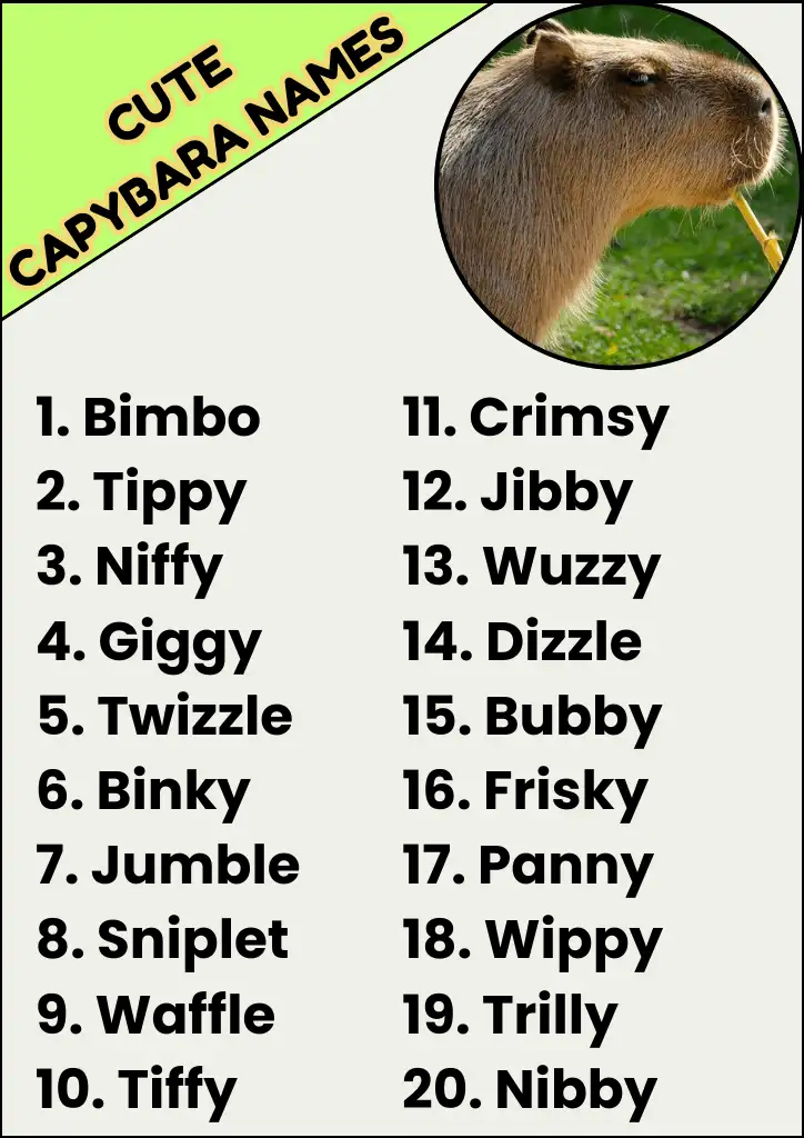 Cute Capybara Names Infographic