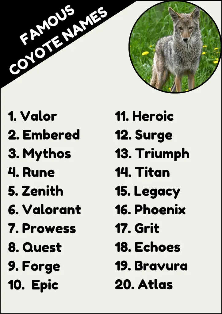 Famous Coyote Names Infographic