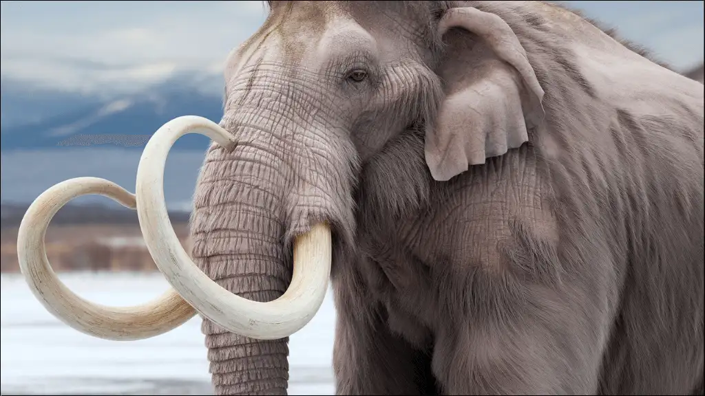 Famous Mammoth Names
