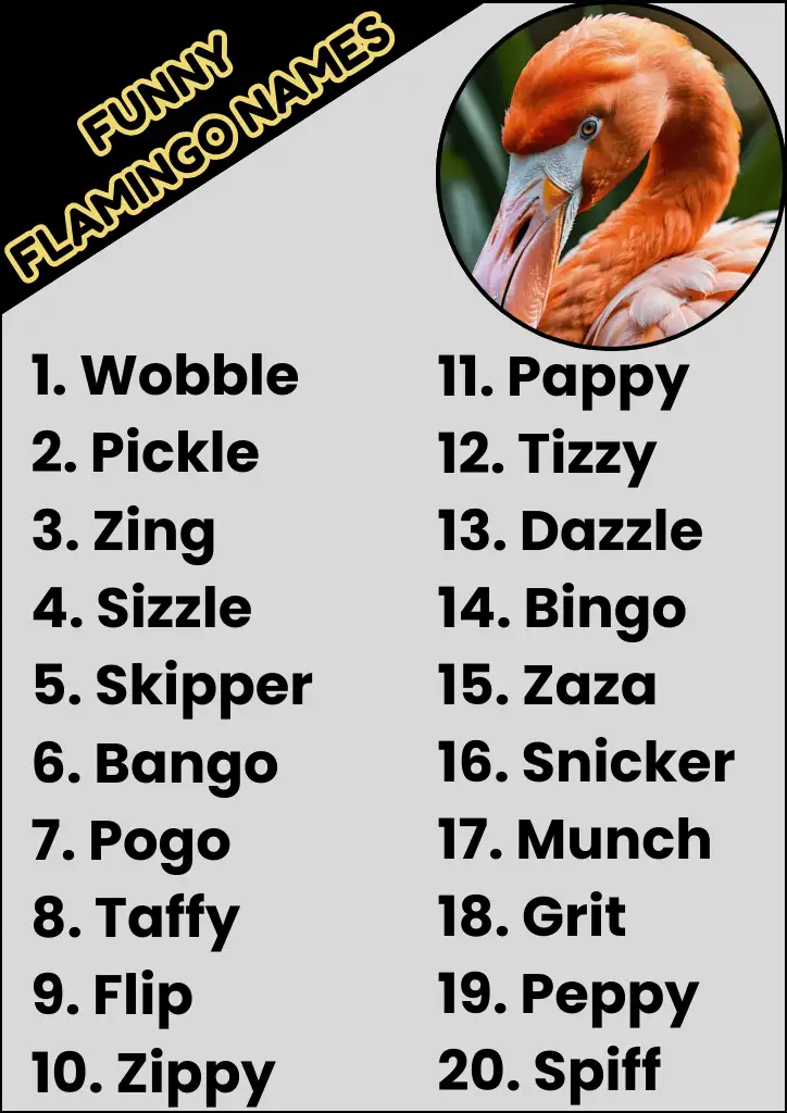 Funny Flamingo Names Infographic